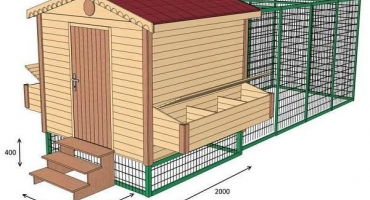 Výroba mini kurníku pro 5 kuřat vlastními rukama, výkresy a rozměry