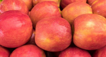 Apple-tree arkadik - vlastnosti odrůdy