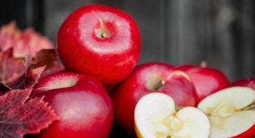 Jabloň jeromini - užitečné informace o odrůdě