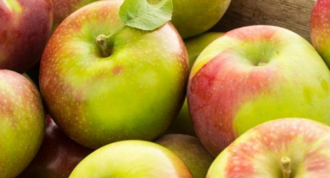 Jabloň synap - charakteristika odrůdy