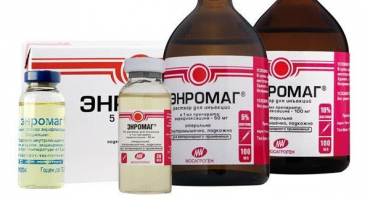 Enromag: návod k použití ve veterinární medicíně