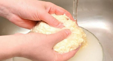 Kvalita pšeničného lepku a dekódování ekv, kolik lepku je v zrnu