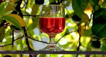 Jak se jmenuje bylinkové víno a 3 jednoduché recepty