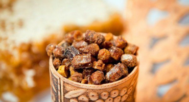 Jak se dělá včelí chléb? Jak jej extrahovat a používat