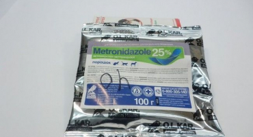 Jak zředit metronidazol pro kuřata?