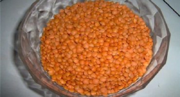 Jak čočka vypadá a co to je, její druhy a odrůdy s popisem