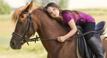 Jaká onemocnění koně mají, způsoby jejich léčby a prevence