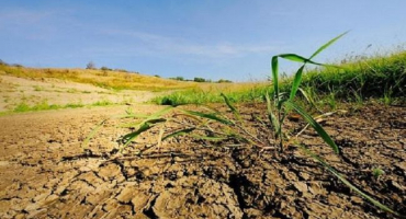 Jaké faktory a podmínky ovlivňují tvorbu struktury půdy