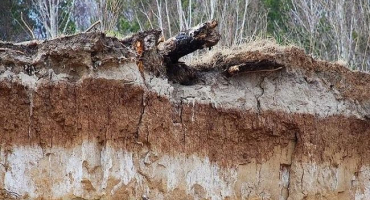 Jaké půdy jsou v severozápadní oblasti, jejich vlastnosti a problémy