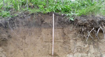 Jaké jsou rozdíly v hustotě půdy, klasifikaci a optimální výkonnosti?