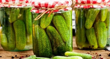 Které odrůdy okurek jsou nejvhodnější pro konzervování a nakládání, názvy