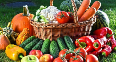 Jaké druhy hnojiv jsou?