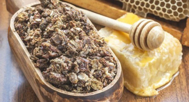 Co je propolis - hlavní odrůdy