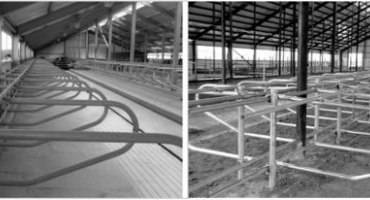 Jaké vybavení je potřeba pro chov skotu a jak jej správně vybrat