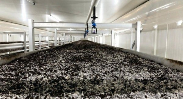 Jaké vybavení je potřeba pro pěstování hub?