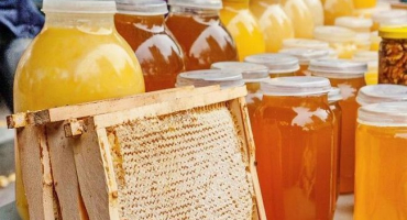 Který med je lepší a zdravější - tmavé nebo světlé odrůdy, jejich rozdíly