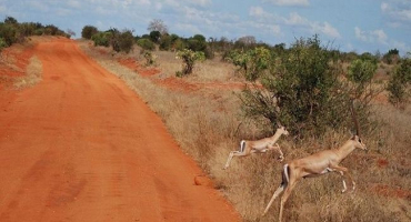 Mapa a 6 půdních typů afriky, jejich hlavní rysy a půdní aplikace