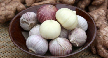 Čínský česnek sólo: výsadba a péče