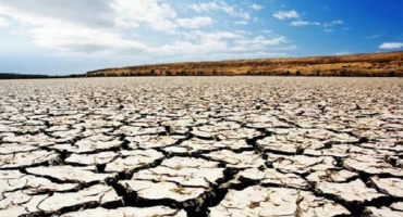 Klasifikace a specifičnost půd v subtropech, jejich ekonomické využití