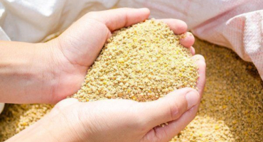 Krmné směsi pro křepelky: odrůdy, vlastnosti přípravy a krmení