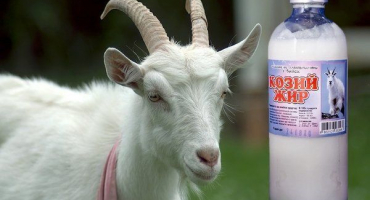 Kozí tuk: příznivé vlastnosti a použití