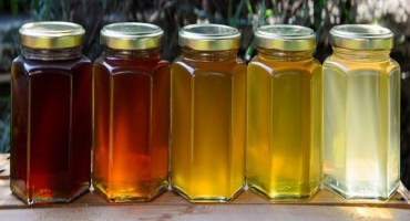 Kritéria kvality medu a nejlepší způsoby jeho testování