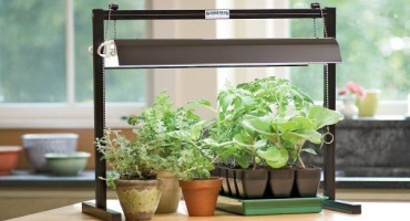 Lampy pro osvětlení sazenic: typy, vlastnosti a vliv různých spekter
