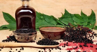 Léčivé vlastnosti a kontraindikace plodů černého bezu