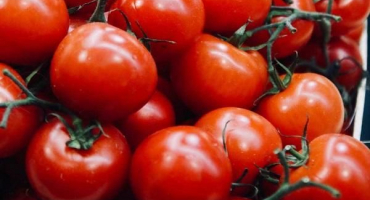 Nejlepší recepty na konzervovaná rajčata s mrkví na zimu