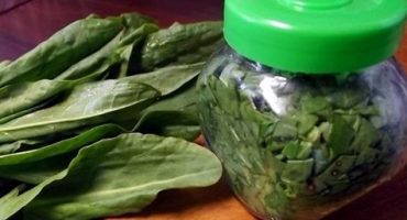 Nejlepší recepty na sklizeň šťovíku na zimu doma v bankách