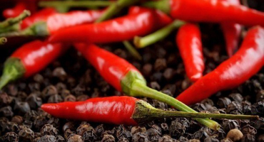 Nejlepší odrůdy feferonek s charakteristikami a fotografiemi