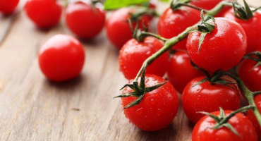 Nejlepší odrůdy cherry rajčat a doporučení pro pěstování