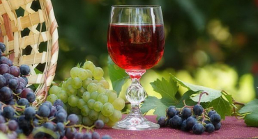 Nejlepší hrozny pro výrobu vína