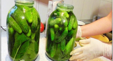 Nejlepší recept na vaření okurek na zimu kvašením ve sklenicích