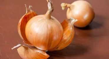 Cibulové slupky na zahradu jsou neocenitelným pomocníkem