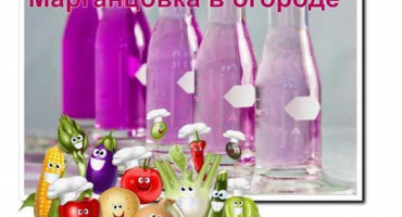 Manganistan draselný v zahradě - oblíbené použití