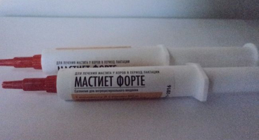 Mastiet forte: přehled veterinární medicíny