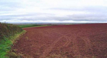 Opatření ke zlepšení úrodnosti kaštanových půd a možné chyby