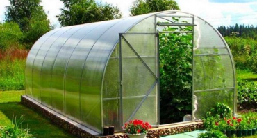 Názvy a vlastnosti neurčitých, vysokých a vysoce výnosných odrůd rajčat pro skleníky