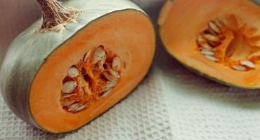 Recenze nejlepších odrůd dýně