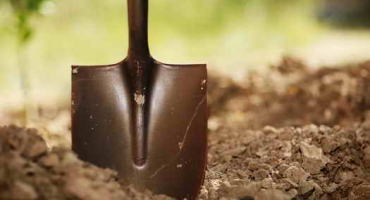 Zahradní práce v listopadu