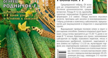 Okurková fontanela - hlavní charakteristiky hybridu a pravidla pěstování