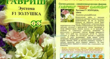 Popis a charakteristika 18 odrůd eustoma, jejich výsadba a péče