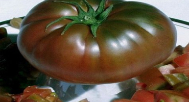 Popis a charakteristika odrůdy rajčat black baron