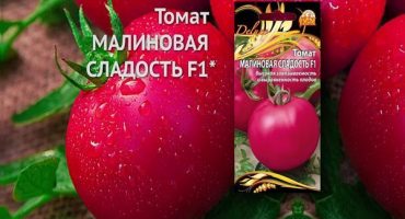 Popis a charakteristika odrůdy rajčat malinová sladkost f1