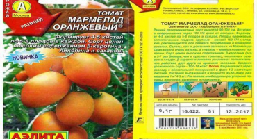 Popis a charakteristika odrůd rajčat pomerančová marmeláda