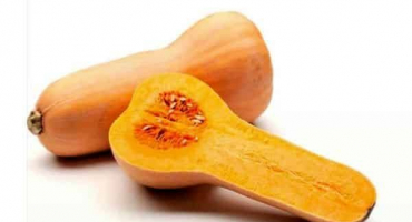 Popis a charakteristika odrůd dýně pro otevřenou půdu