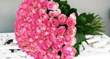 Popis a charakteristika odrůd lavinových růží, pěstování a rozmnožování