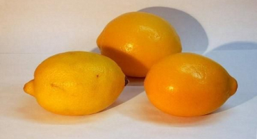 Popis odrůdy citronu tashkent, pěstování a péče doma