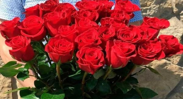 Popis nejlepších odrůd holandských růží, vlastnosti výsadby a hubení škůdců